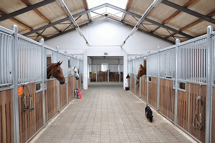 How to Properly Prepare Stables for a Horse