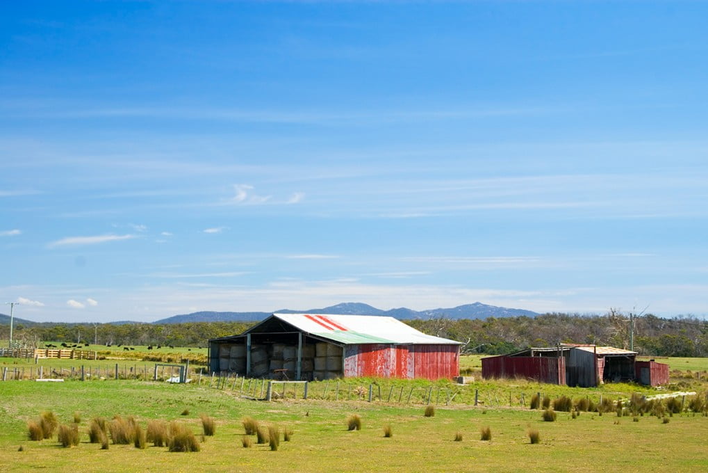How to Choose the Right Barn for Your Farm